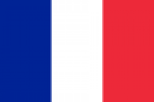 flag_of_france.svg.png